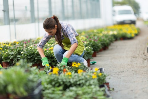 Gardener preparing to trim urban hedge with tools at site boundary