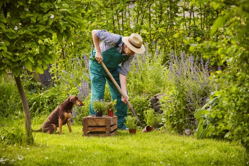 Operative inspecting hedge and safety equipment before cutting