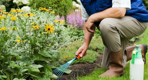 Technician inspecting hedge work during an investigation