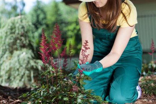 Professional gardener trimming a hedge in Hackney