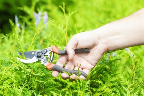 Gardener estimating hedge cut and measuring volume