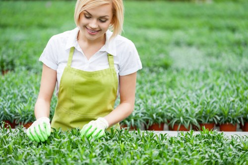A young woman with short blonde hair, wearing a white shirt, a bright green gardening apron, and matching gloves, is tending to lush green seedlings arranged in rows in a greenhouse or nursery setting. The seedlings are densely packed, with vibrant green leaves, and are planted in small pots or trays arranged on a flat surface. In the background, the garden space extends with additional greenery and plants. The environment appears well-maintained, brightly lit with natural light, suggesting a mild or sunny day, suitable for gardening activities. This scene exemplifies professional plant care typical of gardening and landscaping services, such as hedge trimming and garden maintenance offered by companies like Hedge Trimming Hackney, serving areas within London postal districts, including Hackney postal codes.